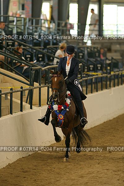 Proof 07R14_0204
