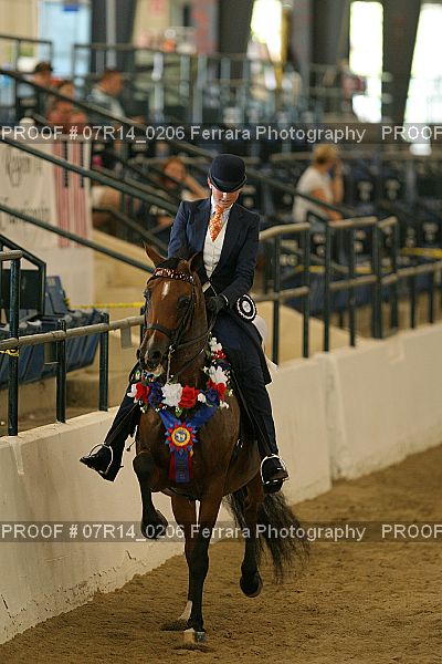 Proof 07R14_0206