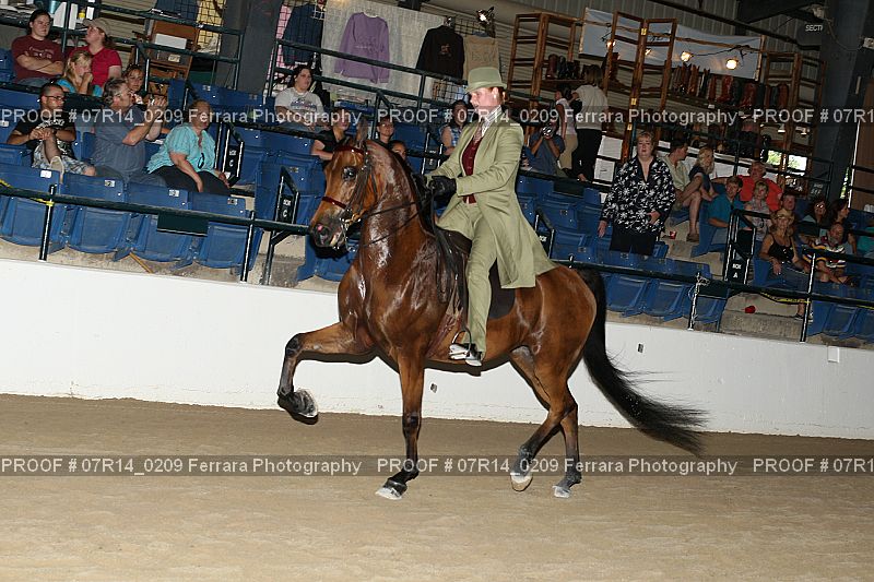 Proof 07R14_0209
