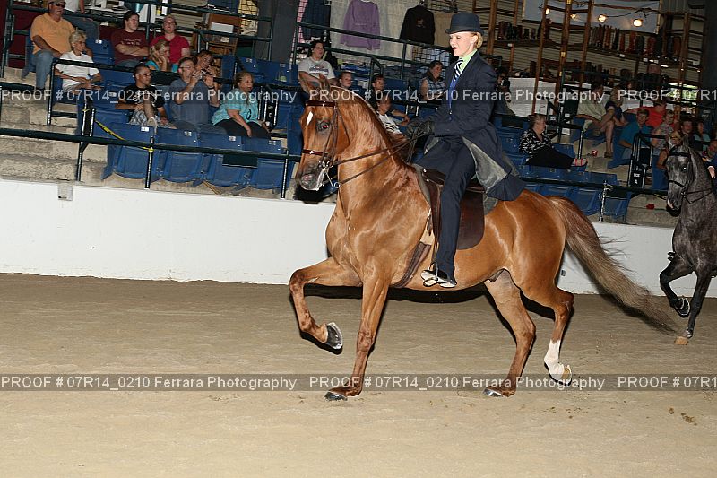 Proof 07R14_0210