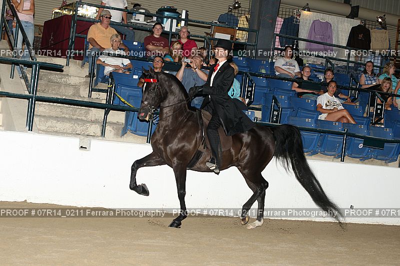 Proof 07R14_0211