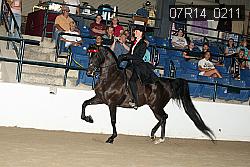07R14_0211 proof