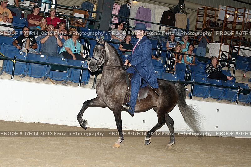 Proof 07R14_0212