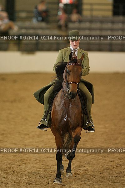 Proof 07R14_0214