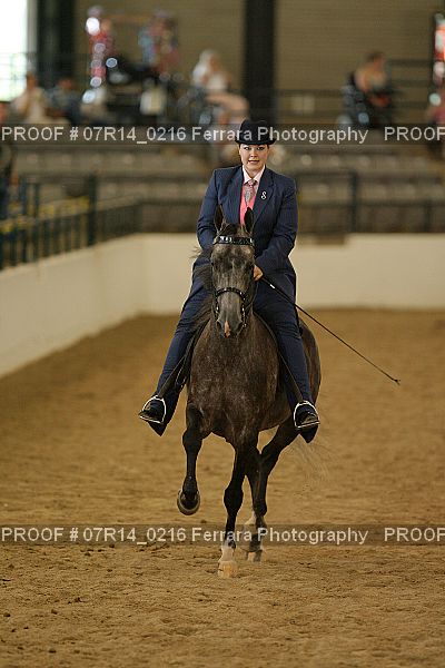 Proof 07R14_0216
