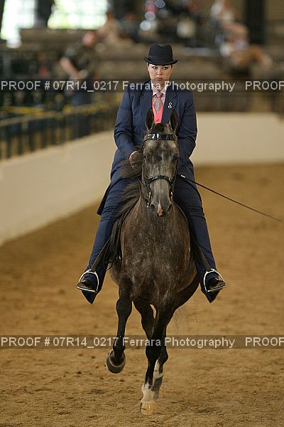 Proof 07R14_0217
