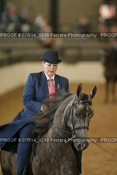 Proof 07R14_0218