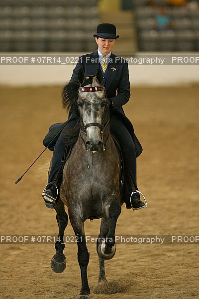 Proof 07R14_0221