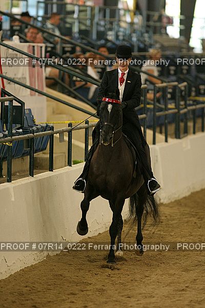 Proof 07R14_0222