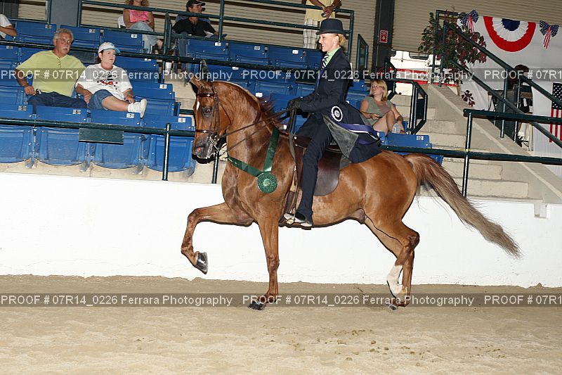Proof 07R14_0226