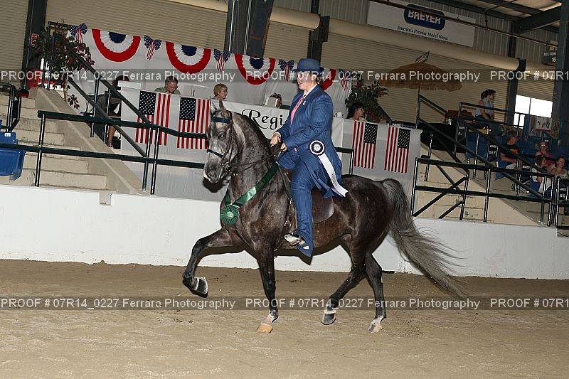 Proof 07R14_0227