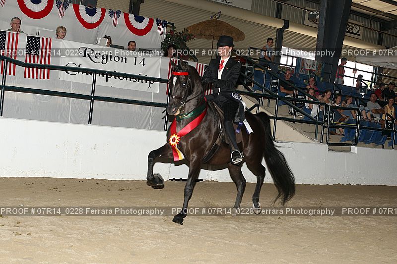 Proof 07R14_0228