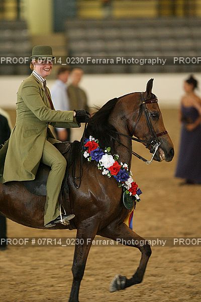Proof 07R14_0230