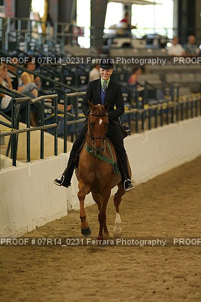 Proof 07R14_0231