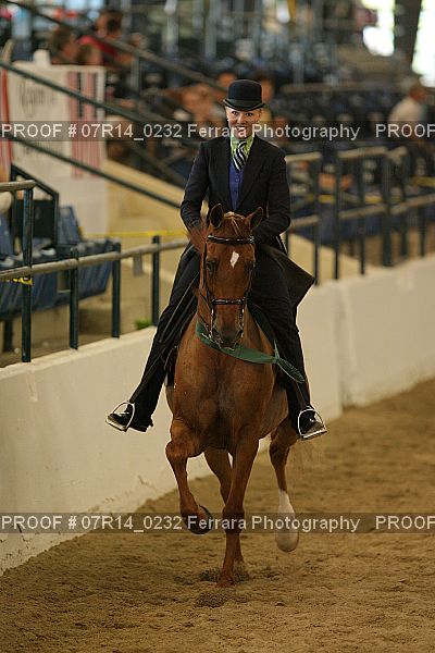 Proof 07R14_0232