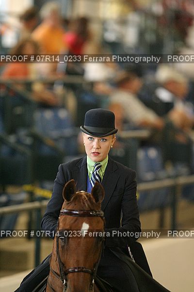 Proof 07R14_0233