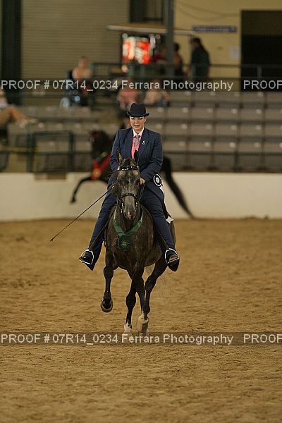 Proof 07R14_0234