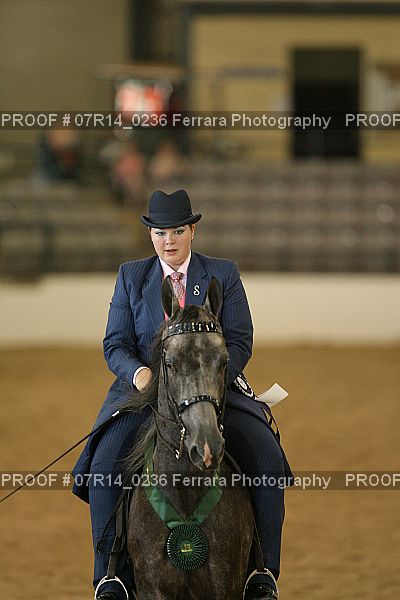 Proof 07R14_0236
