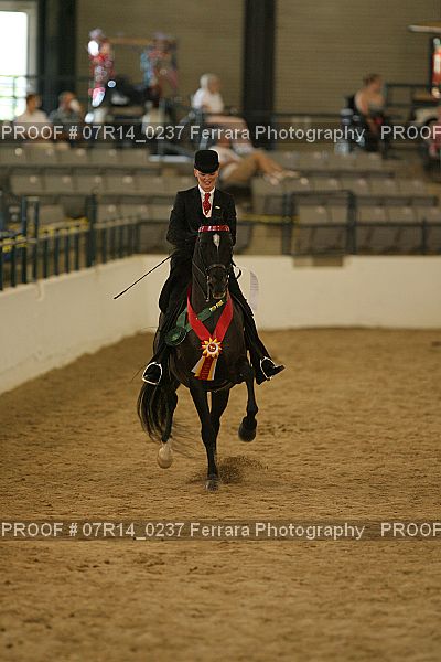 Proof 07R14_0237