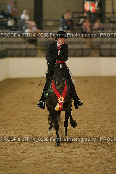 Proof 07R14_0238