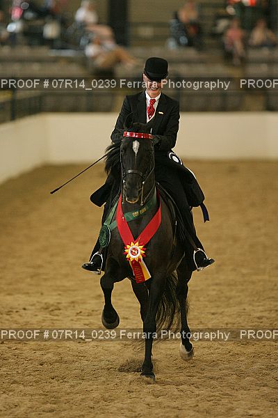 Proof 07R14_0239