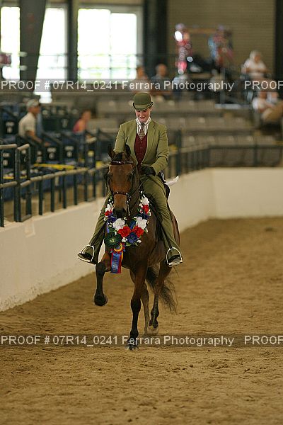 Proof 07R14_0241