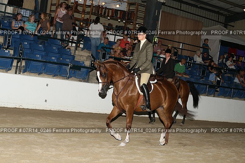 Proof 07R14_0246
