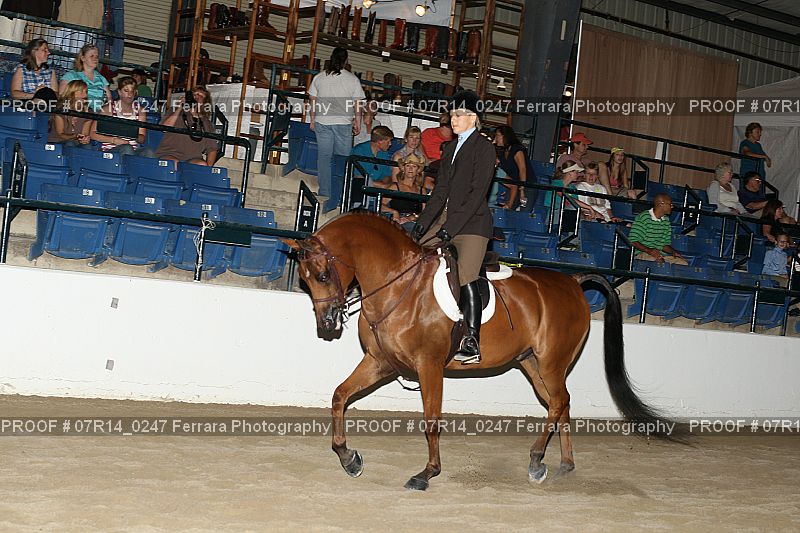 Proof 07R14_0247