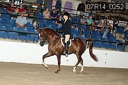 07R14_0252 proof