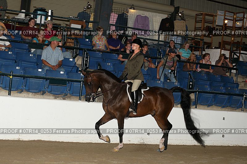 Proof 07R14_0253