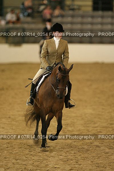 Proof 07R14_0254