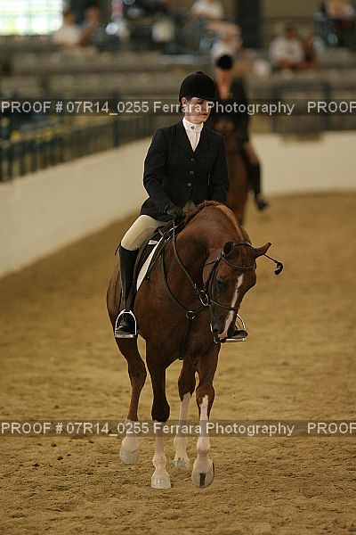 Proof 07R14_0255