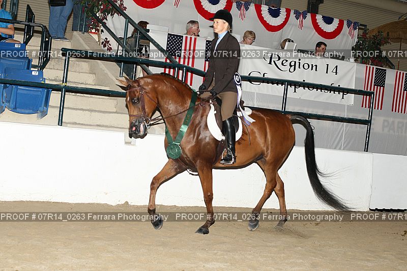 Proof 07R14_0263