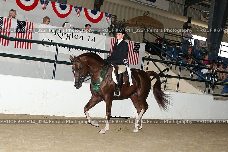 Proof 07R14_0264