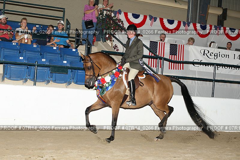 Proof 07R14_0266