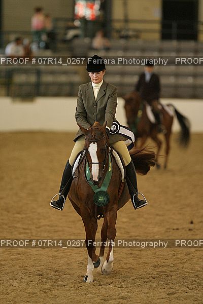 Proof 07R14_0267