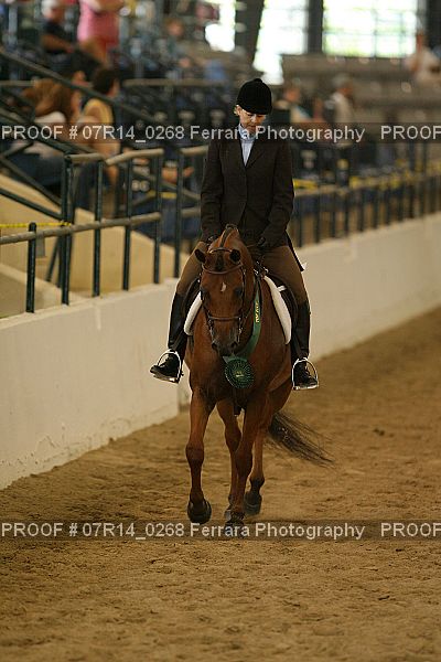 Proof 07R14_0268