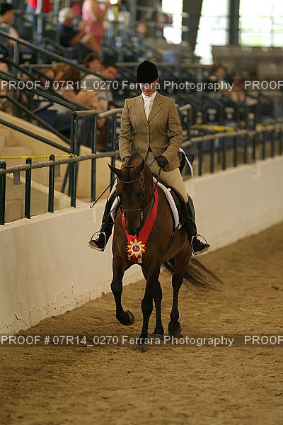 Proof 07R14_0270