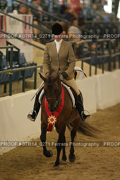 Proof 07R14_0271