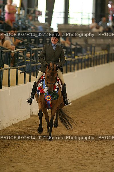 Proof 07R14_0272