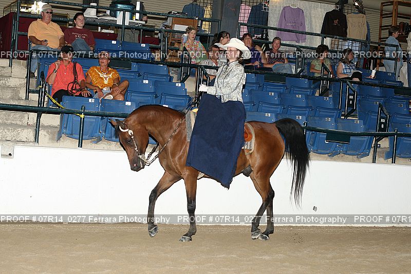 Proof 07R14_0277