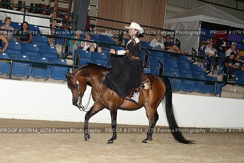 Proof 07R14_0278