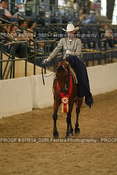 Proof 07R14_0286