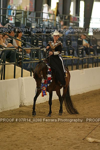 Proof 07R14_0288