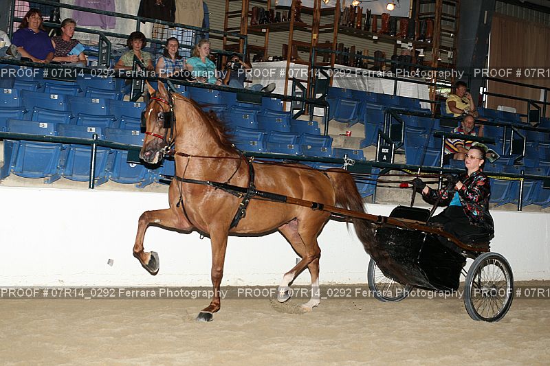 Proof 07R14_0292