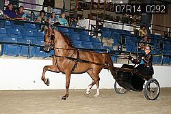 07R14_0292 proof