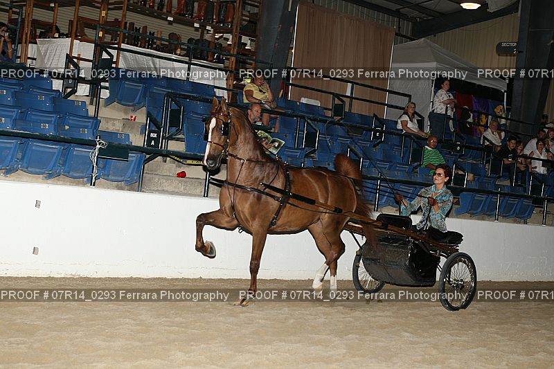 Proof 07R14_0293