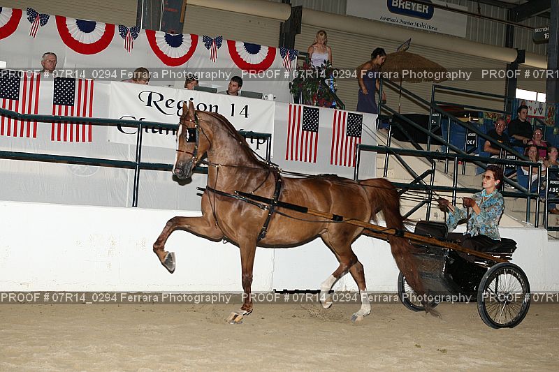 Proof 07R14_0294
