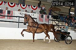 07R14_0294 proof