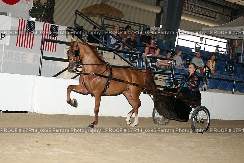 Proof 07R14_0295